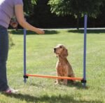 TRIXIE DOG ACTIVITY AGILITY HORDE BLAUW / ORANJE - Afbeelding 2
