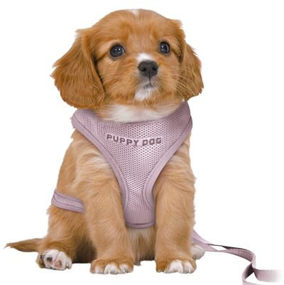 410080 TRIXIE HONDENTUIG JUNIOR PUPPY SOFTTUIG MET RIEM LILA - Image 1
