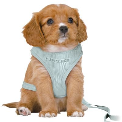 410081 TRIXIE HONDENTUIG JUNIOR PUPPY SOFTTUIG MET RIEM MINTGROEN - Image 1