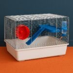 Cage de hamster sur tapis orange